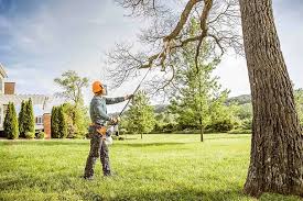 Best Hedge Trimming  in Zumbrota, MN